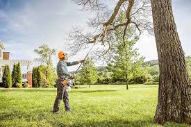 Best Tree and Shrub Care  in Roselle, NJ